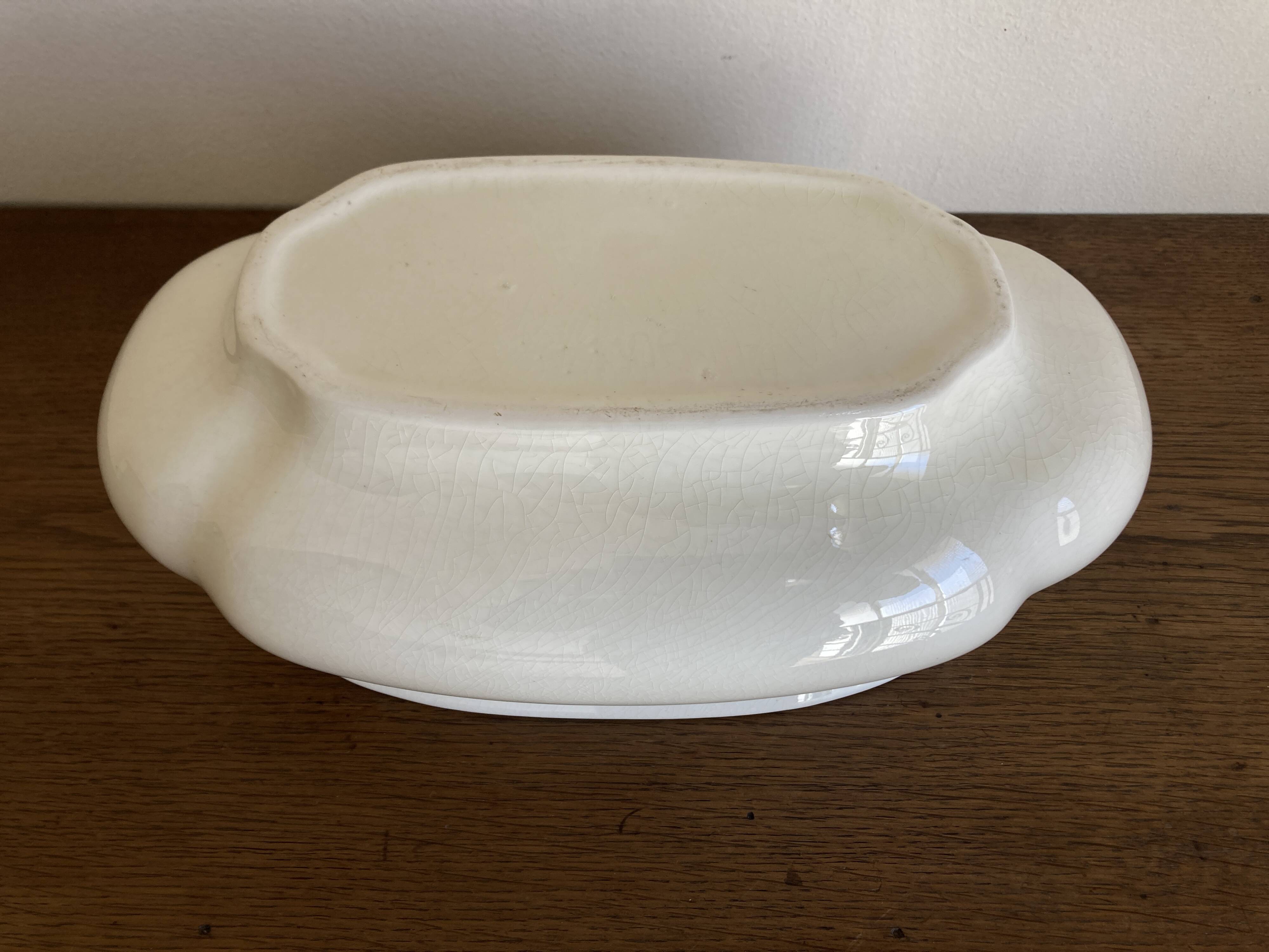 Neo-classical planter in ivory earthenware with XXL gadroons, 1950s