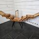 Oak worker with compass feet