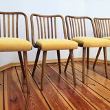 Dining Chairs attributed to A. Suman for Tatra Nabytok, Czechoslovakia, 196