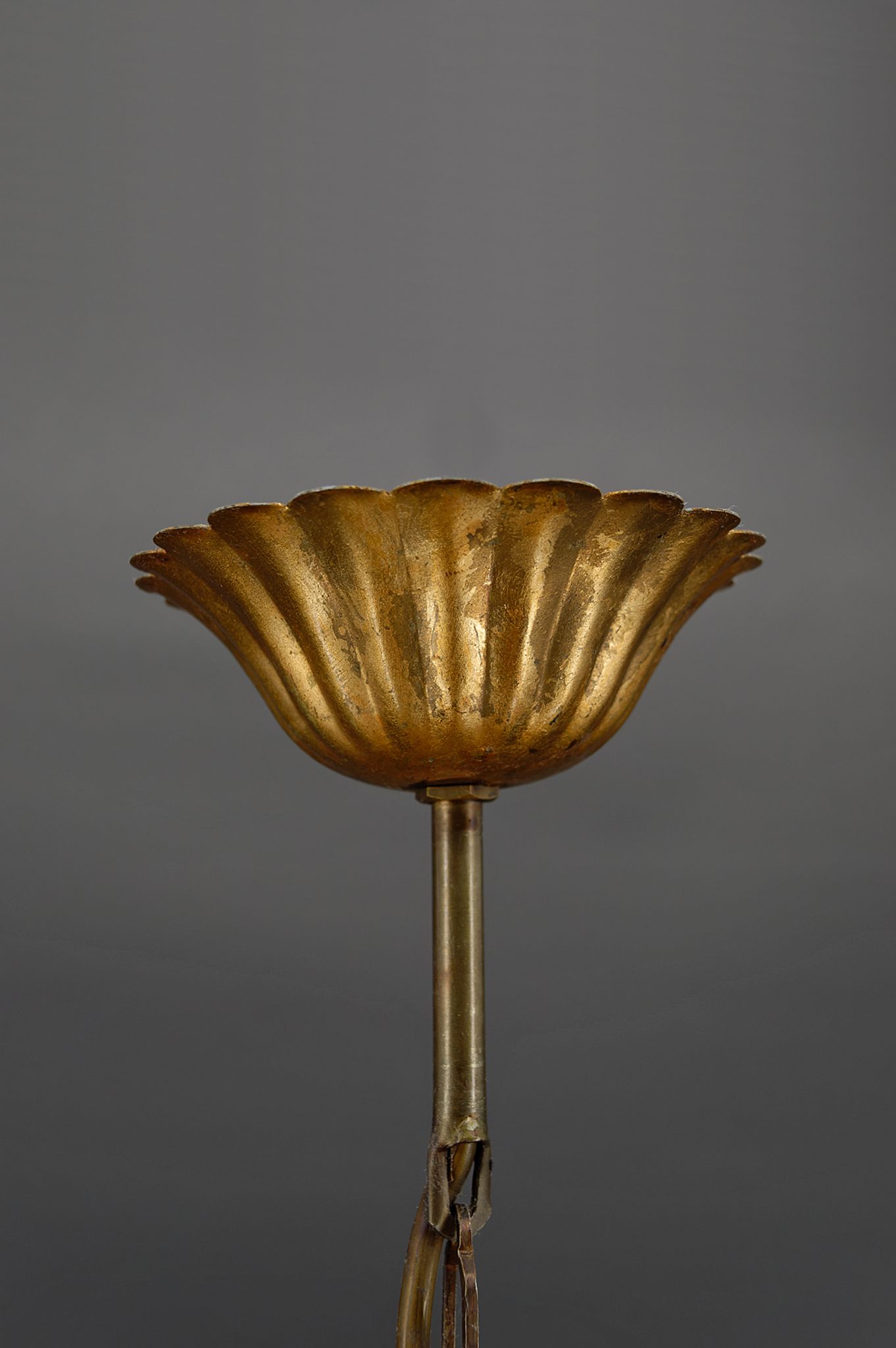 Golden suspension on ears of wheat, circa 1960