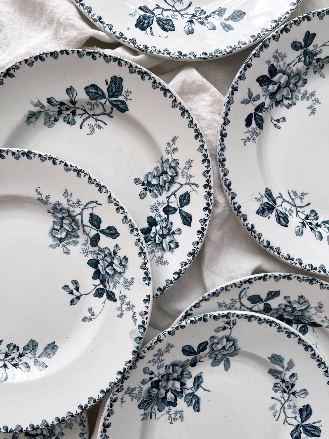 10 assiettes plates en terre de fer « Acacia » Moulin des Loups et Hamage