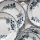 10 assiettes plates en terre de fer « Acacia » Moulin des Loups et Hamage