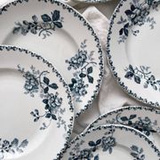 10 flat plates in iron earth “Acacia” Moulin des Loups and Hamage