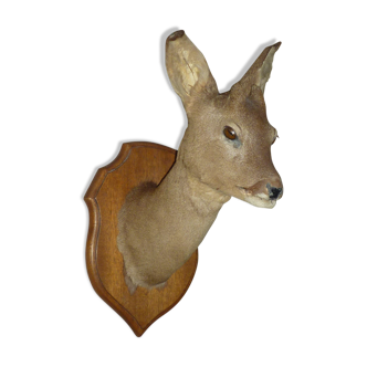 Stuffed Deer Head