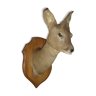 Stuffed Deer Head