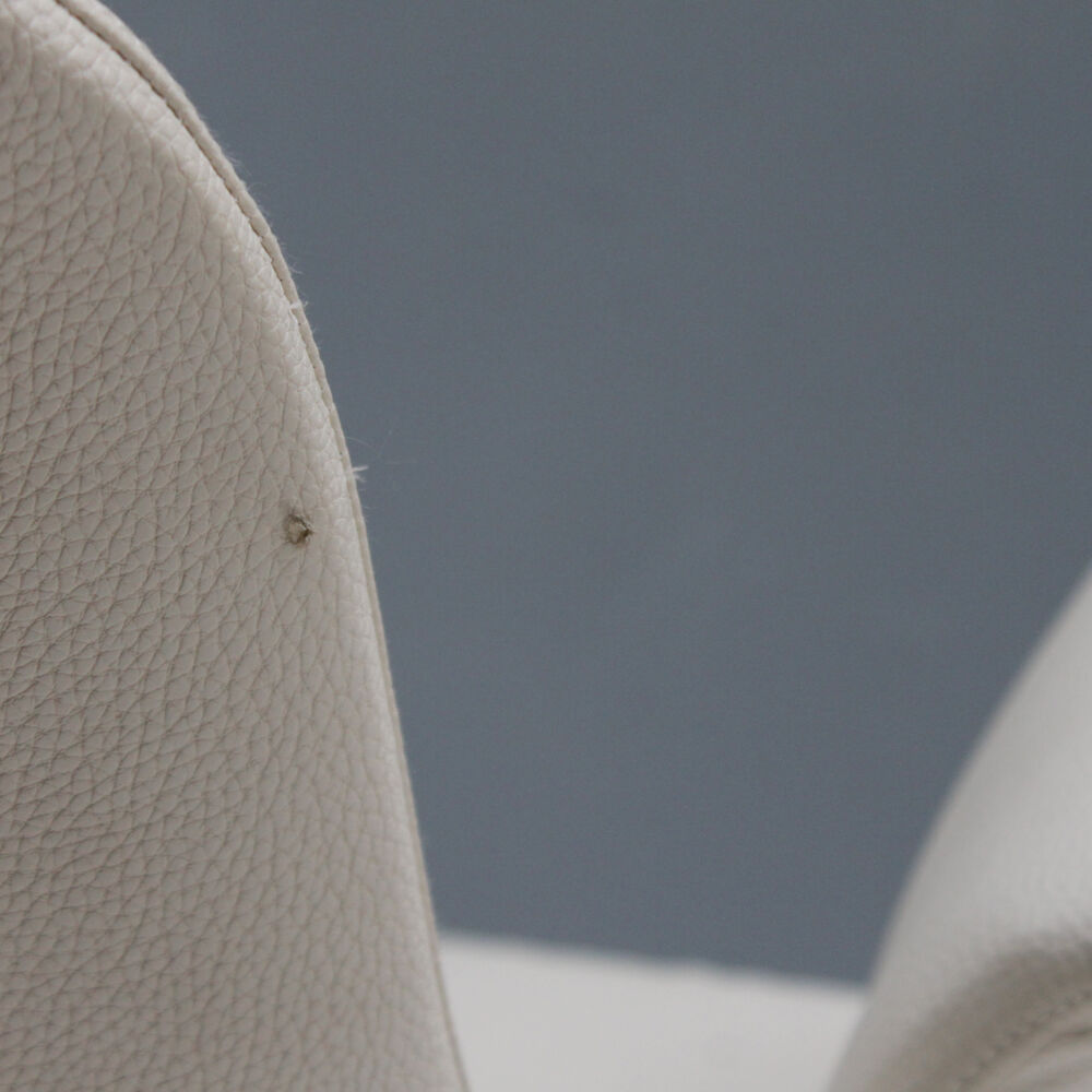 Pair of armchairs by Augusto Bozzi for Saporiti