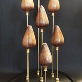 Cabinet of Curiosities globe with conus figulinus shells