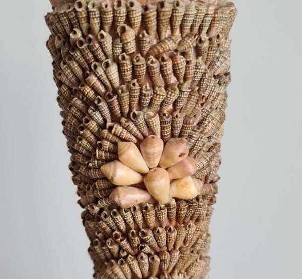 Vase coquillage vintage français 1960s brutaliste décor côtier