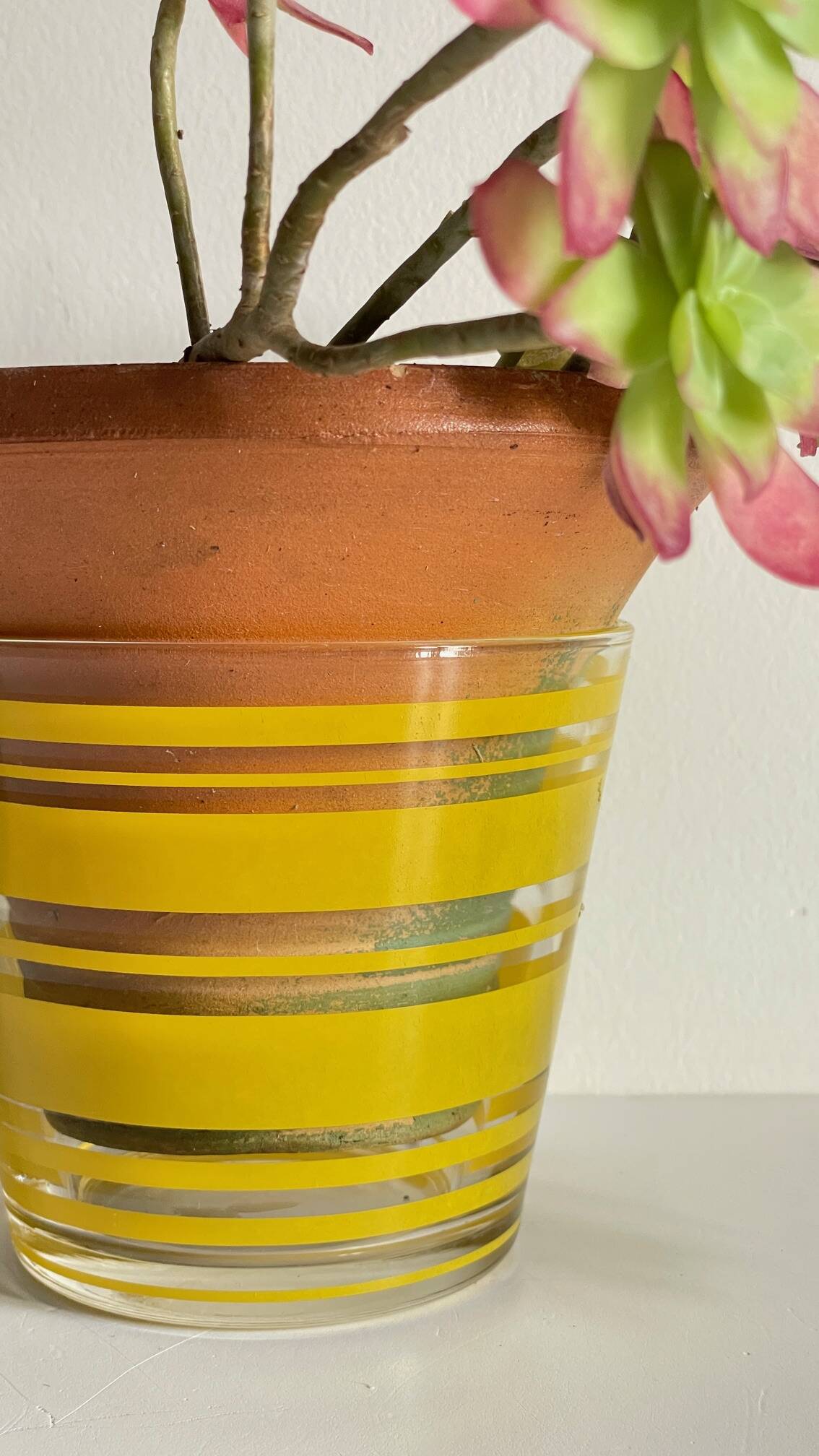 Pair of VINTAGE Silkscreened Glass Plant Pots