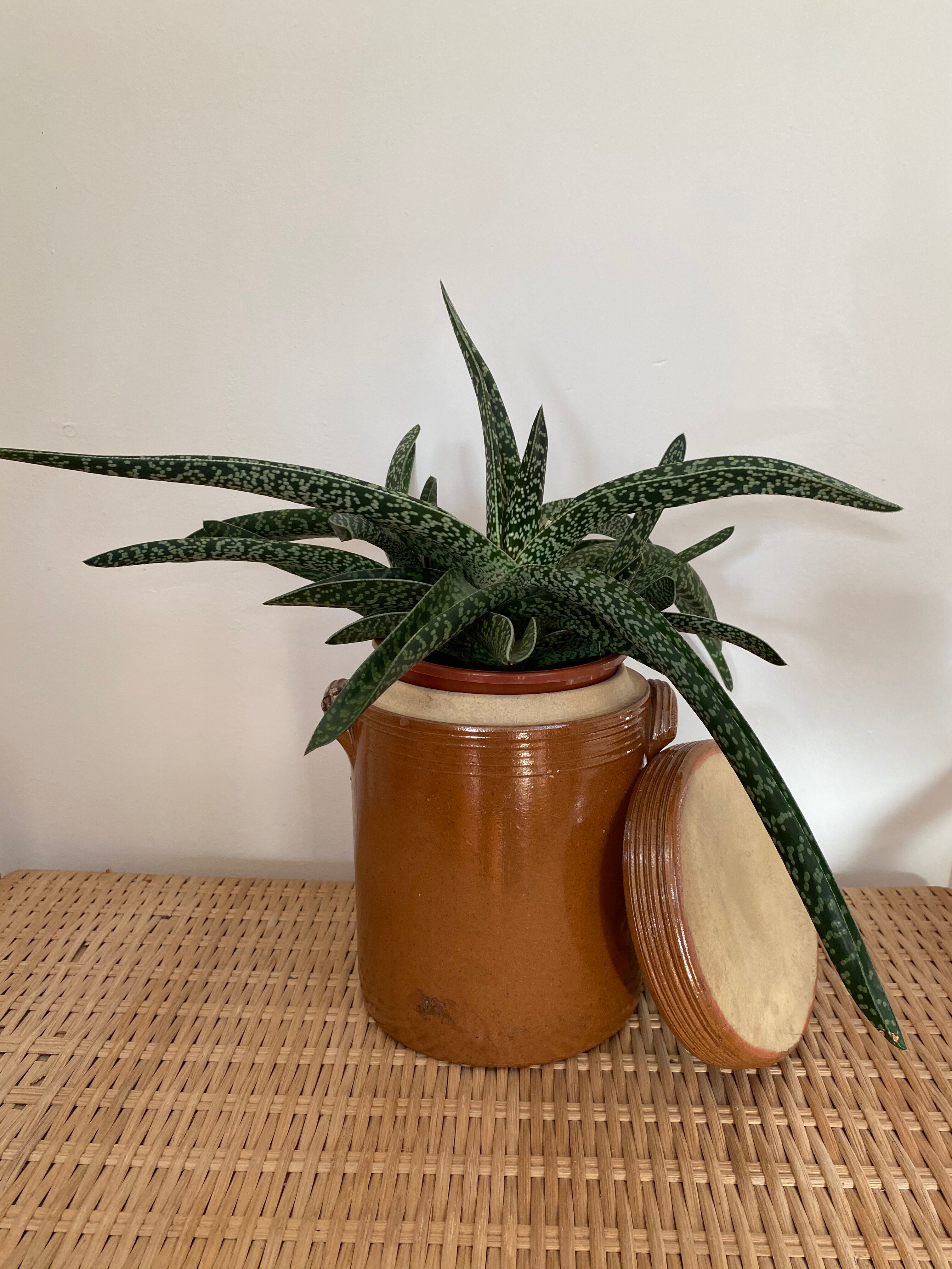 Glazed stoneware confit pot
