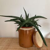 Glazed stoneware confit pot