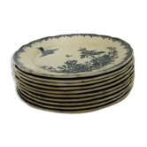 10 old plates