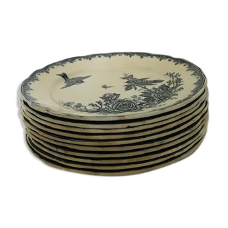 Set de 10 assiettes anciennes