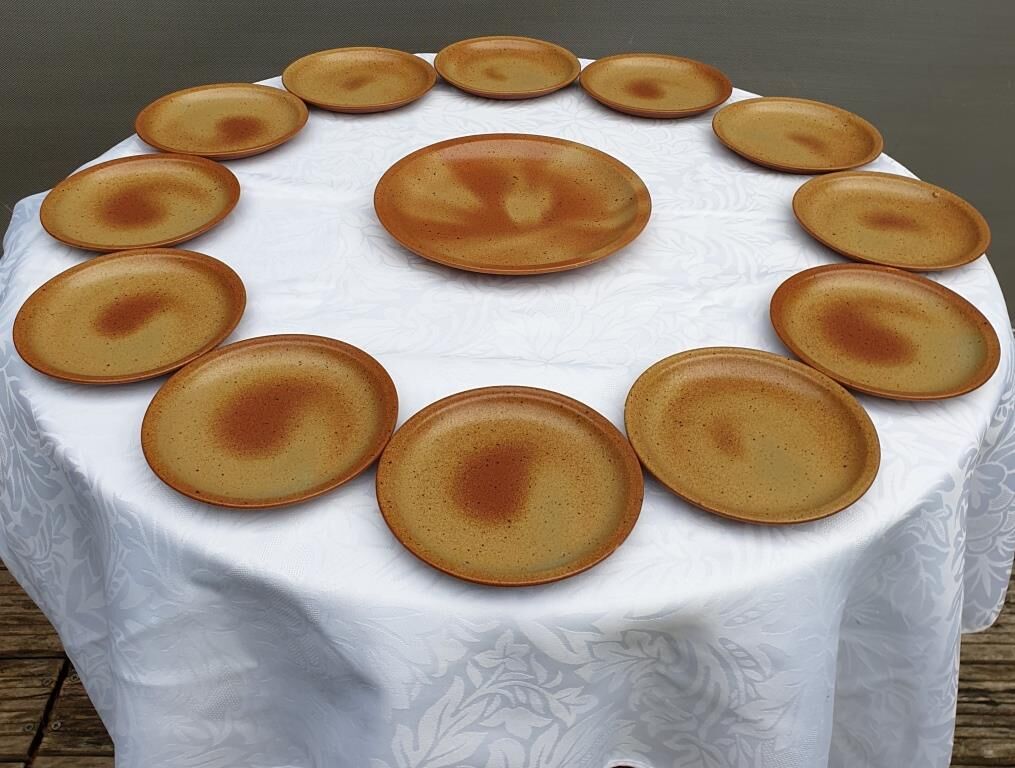 Set 12 plates and 1 dish sandstone of Burgundy Sarreguemines