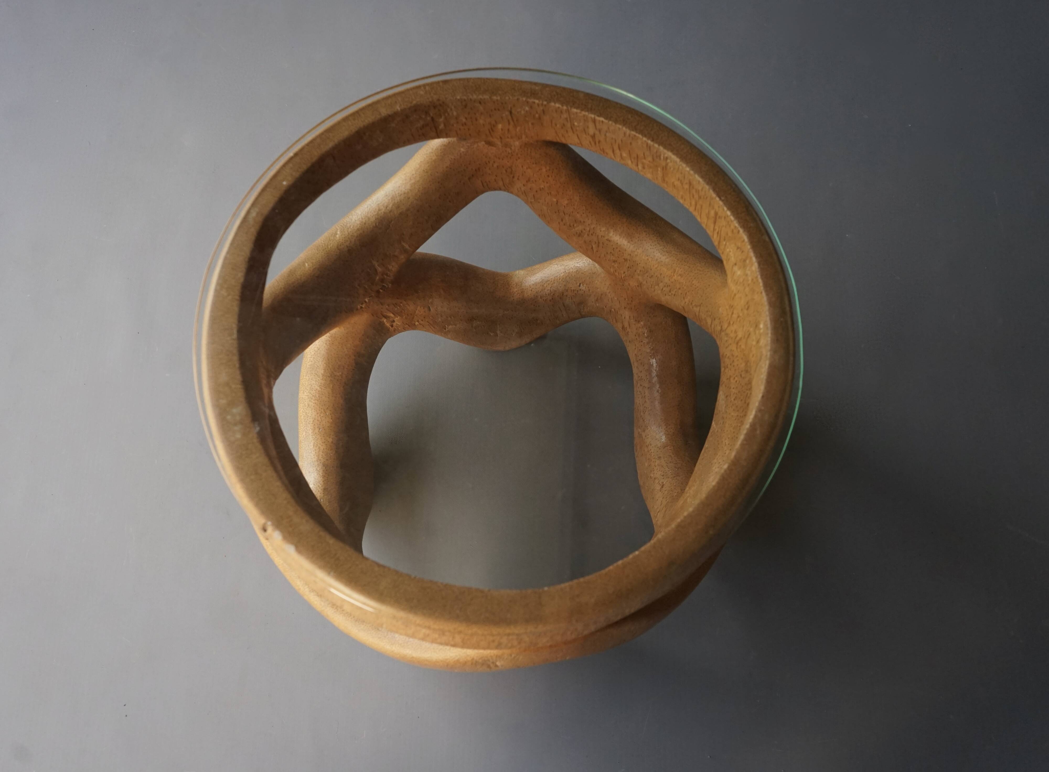 Organic Sculptural hand-crafted Palm Wood Coffee Table, 1970s