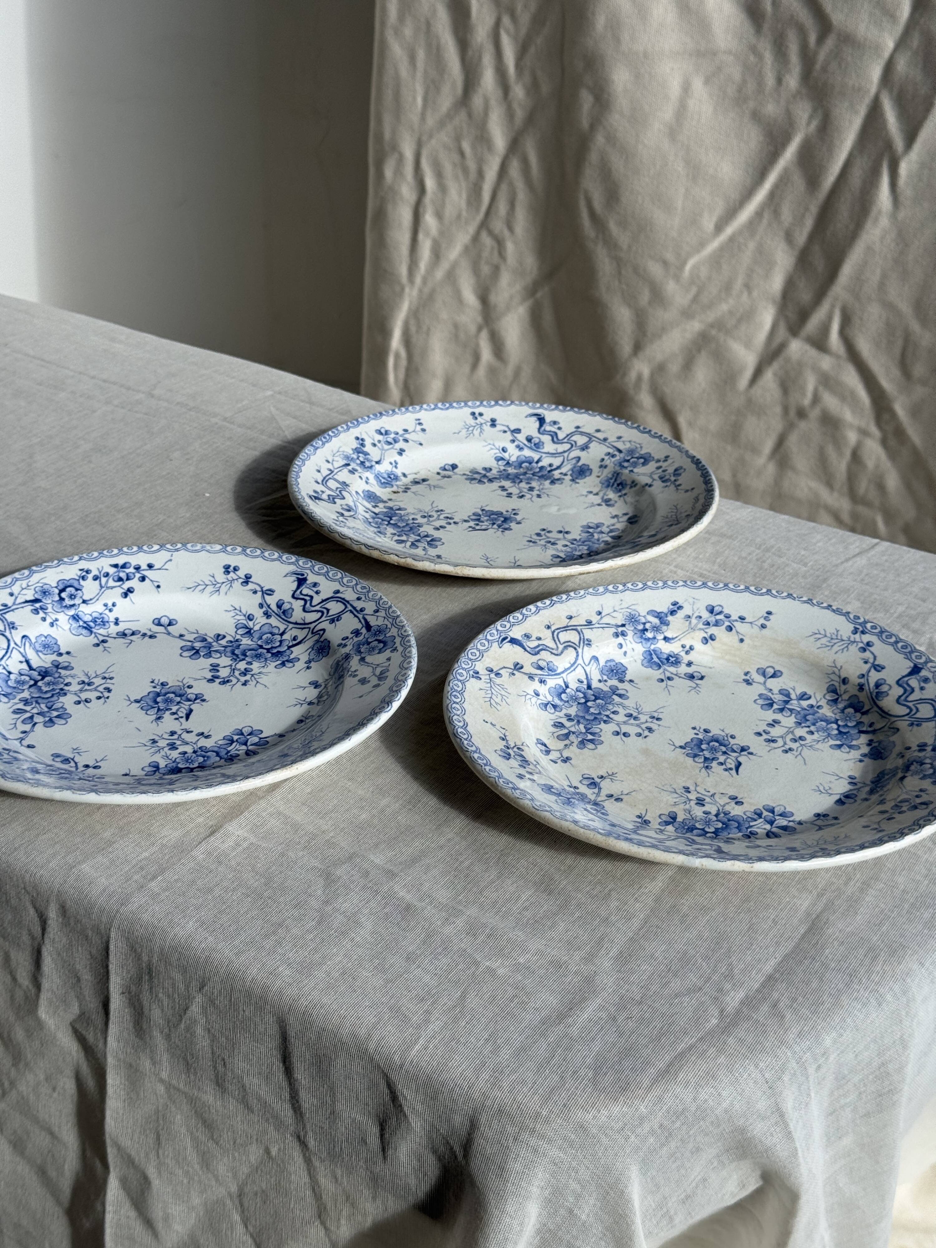 Set of 3 blue plates from Gien pottery, Fleurette model, D22.5.