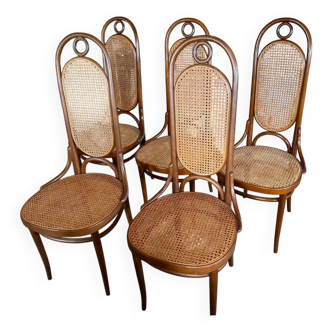 Lot de 5 chaises Thonet long John