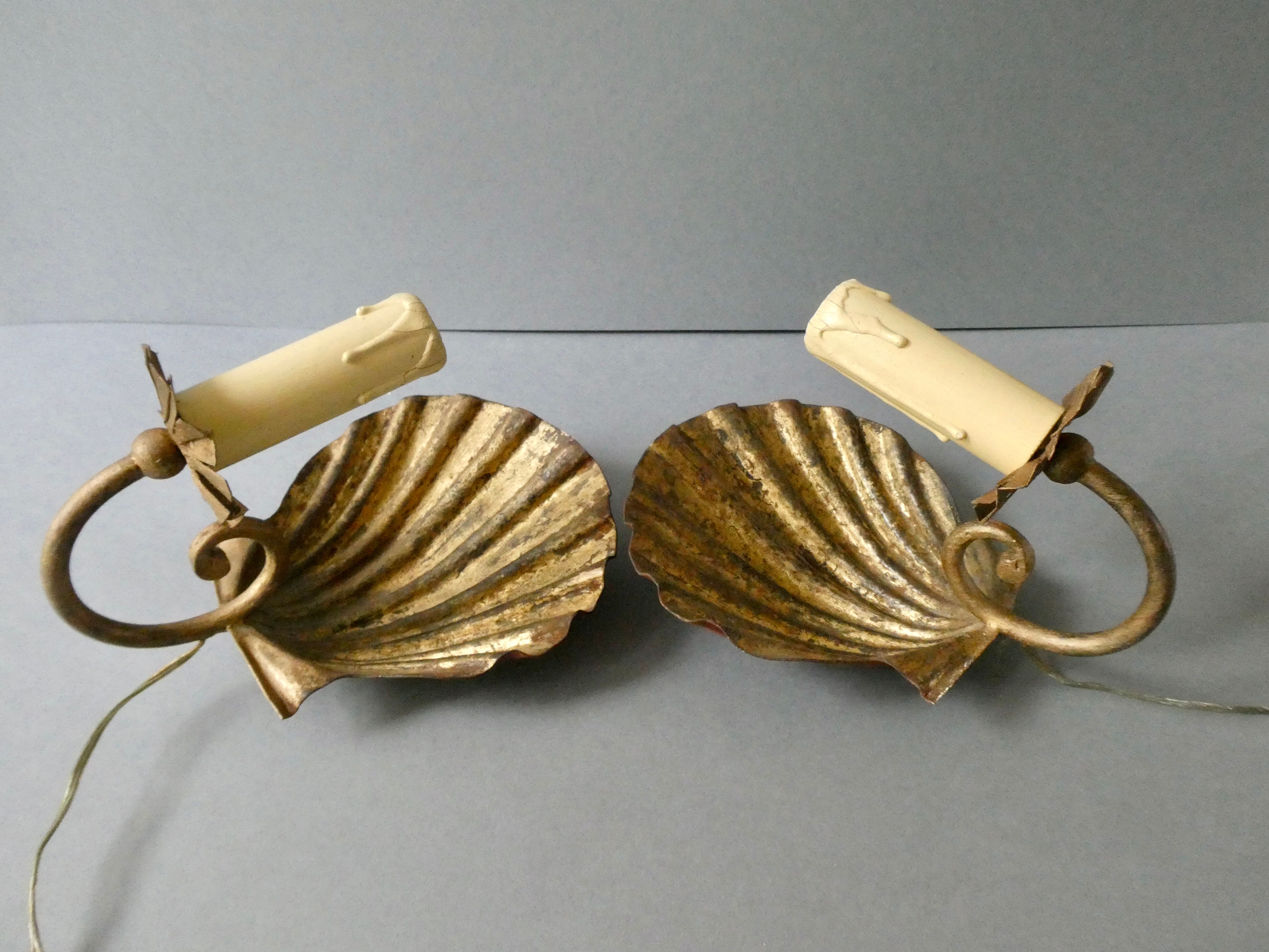 Pair of golden metal shell sconces