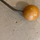Iron and wood hook 60s