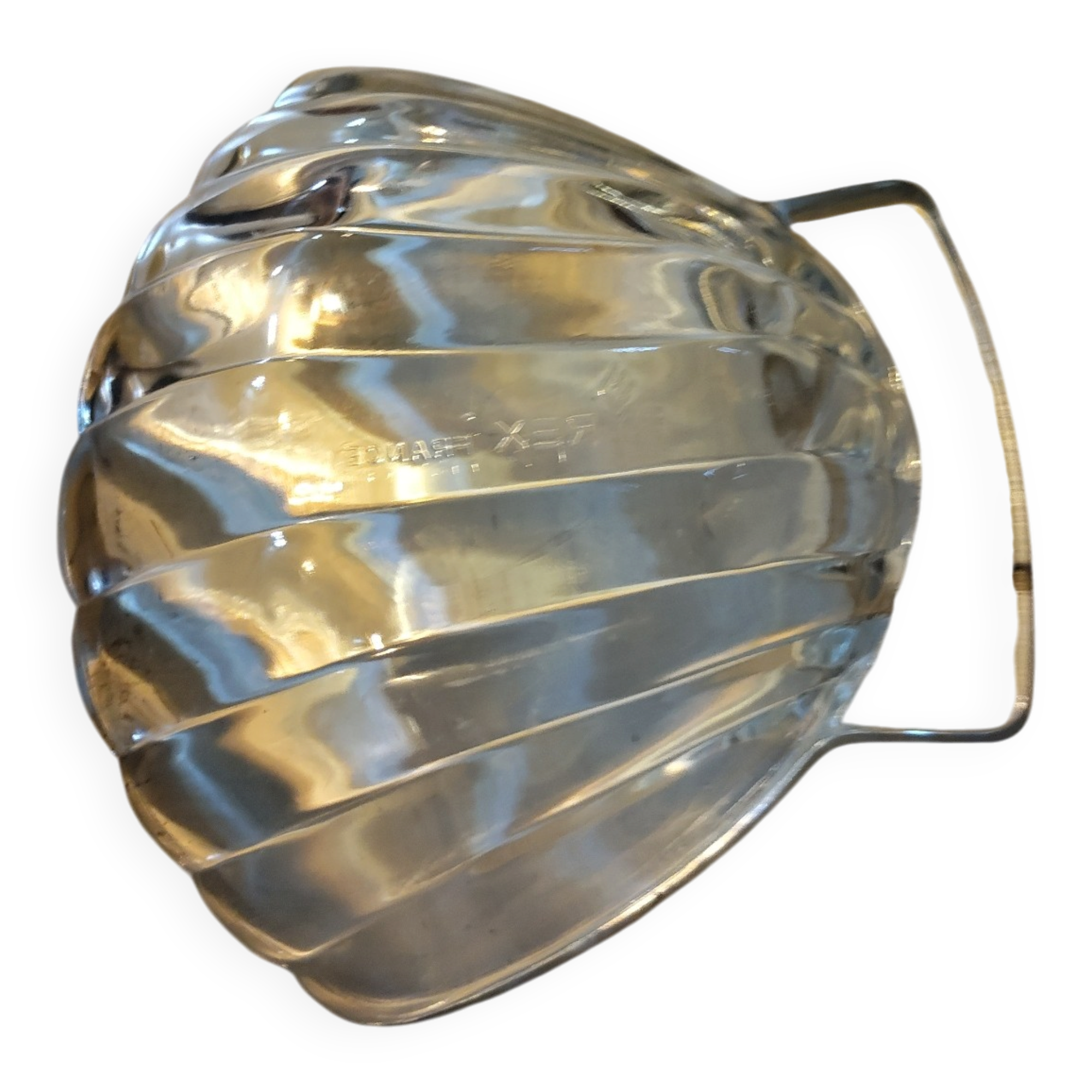 Pack of 6 scallop shells