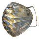 Pack of 6 scallop shells