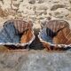 Pair of early 20th century French wicker grape harvest baskets – Rustic vineyard set