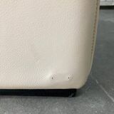 Exceptional and rare Pair of De Sede DS-50 adjustable Lounge Chairs