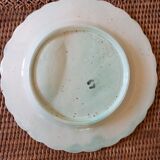 Plate asparagus slurry