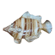 Wall-mounted ceramic fish