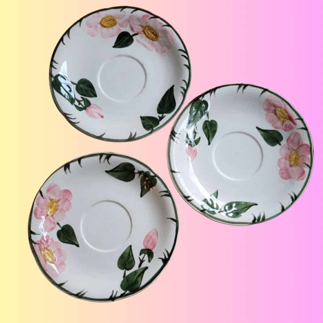 3 coupelles wild rose