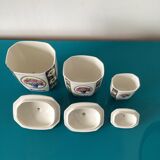 Flower spice pots