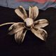 Brass organically shaped double ceiling or wall lights, 1970s