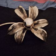 Appliques ou plafonniers en laiton à forme organique, années 1970