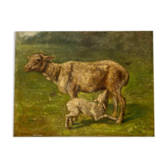 Landscape with sheep