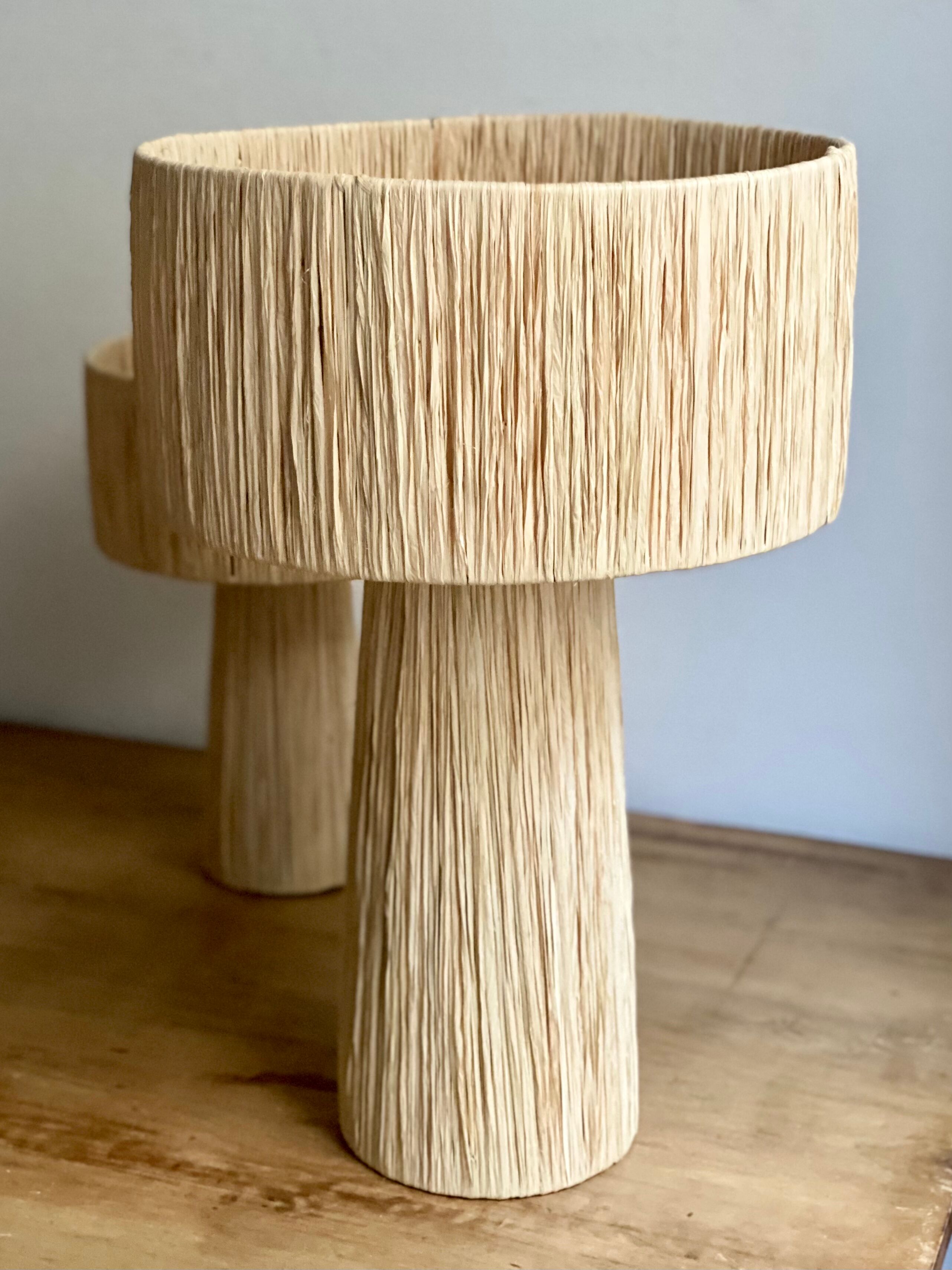 Minimalist raffia bedside table lamp