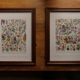 Original lithograph of vegetables and vegetable plants