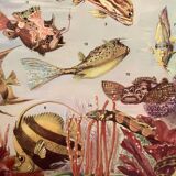 Illustrated plate of coral reef fish – 1950