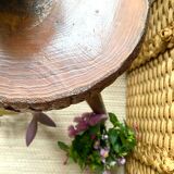 Tripod stool or plant holder