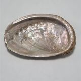 Shell-shaped catchall