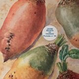 Old illustration on beets and beans - 1930