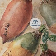 Ancienne illustration sur les betteraves et les haricots - 1930