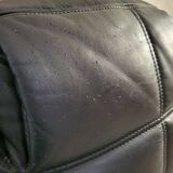 Kashima model sofa by Michel Ducaroy for Ligne Roset