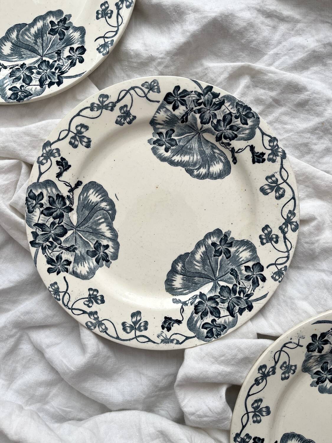 4 ironstone dinner plates “Les Violettes” Salins