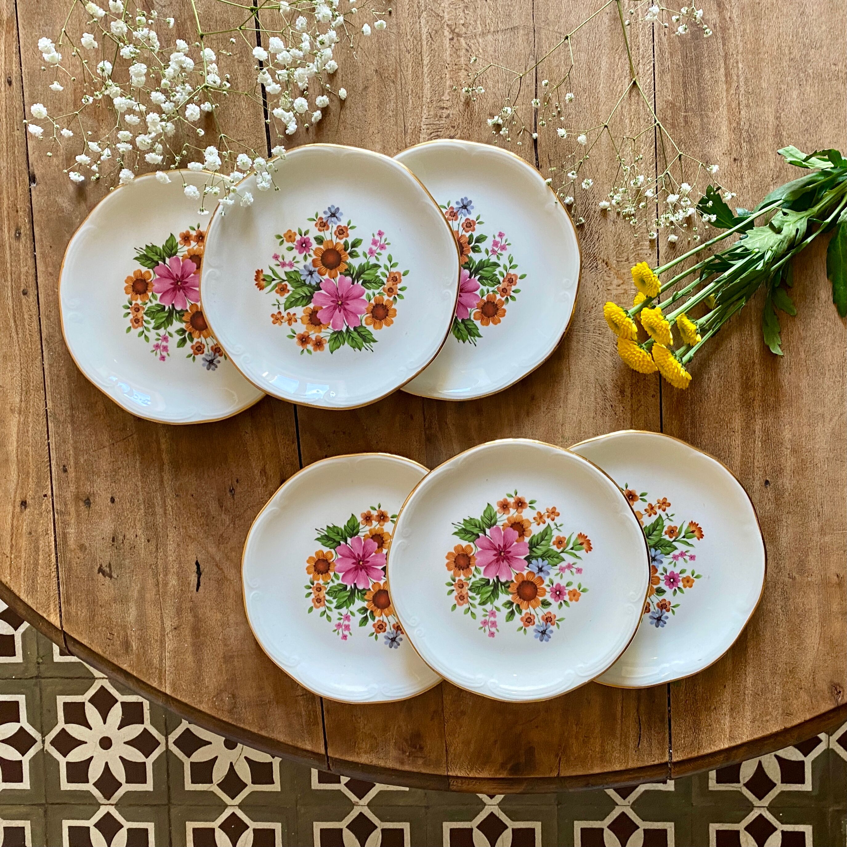 Set of 6 vintage plates from the gien manufacture