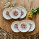 Set of 6 vintage plates from the gien manufacture