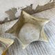 Set of 2 free-form fiberglass planters