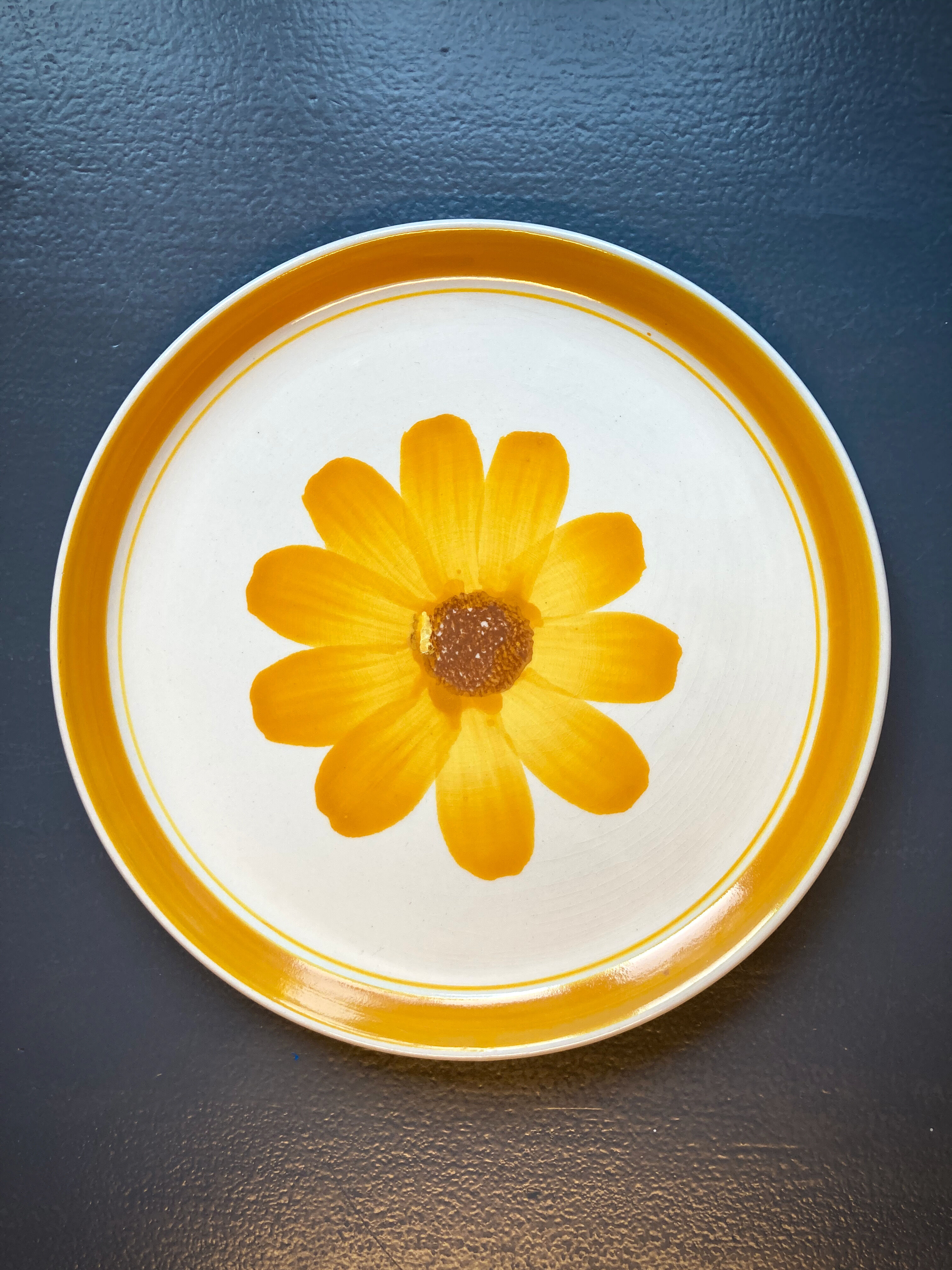 Seven vintage flower power plates