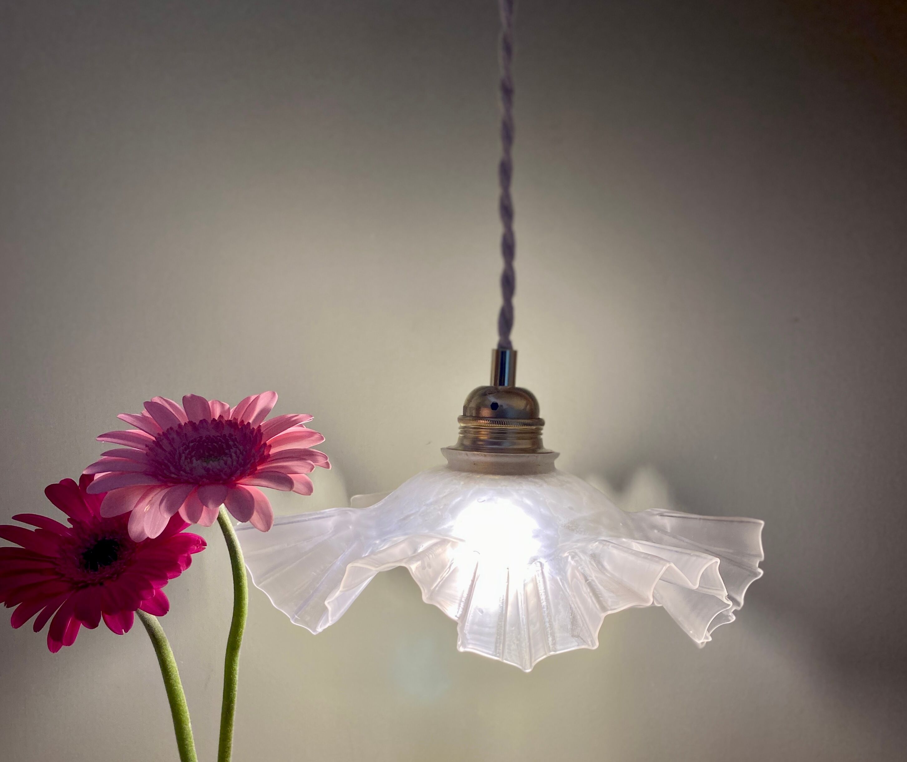 Vintage frosted glass lampshade pendant lamp