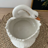 Italian Swan Gardener