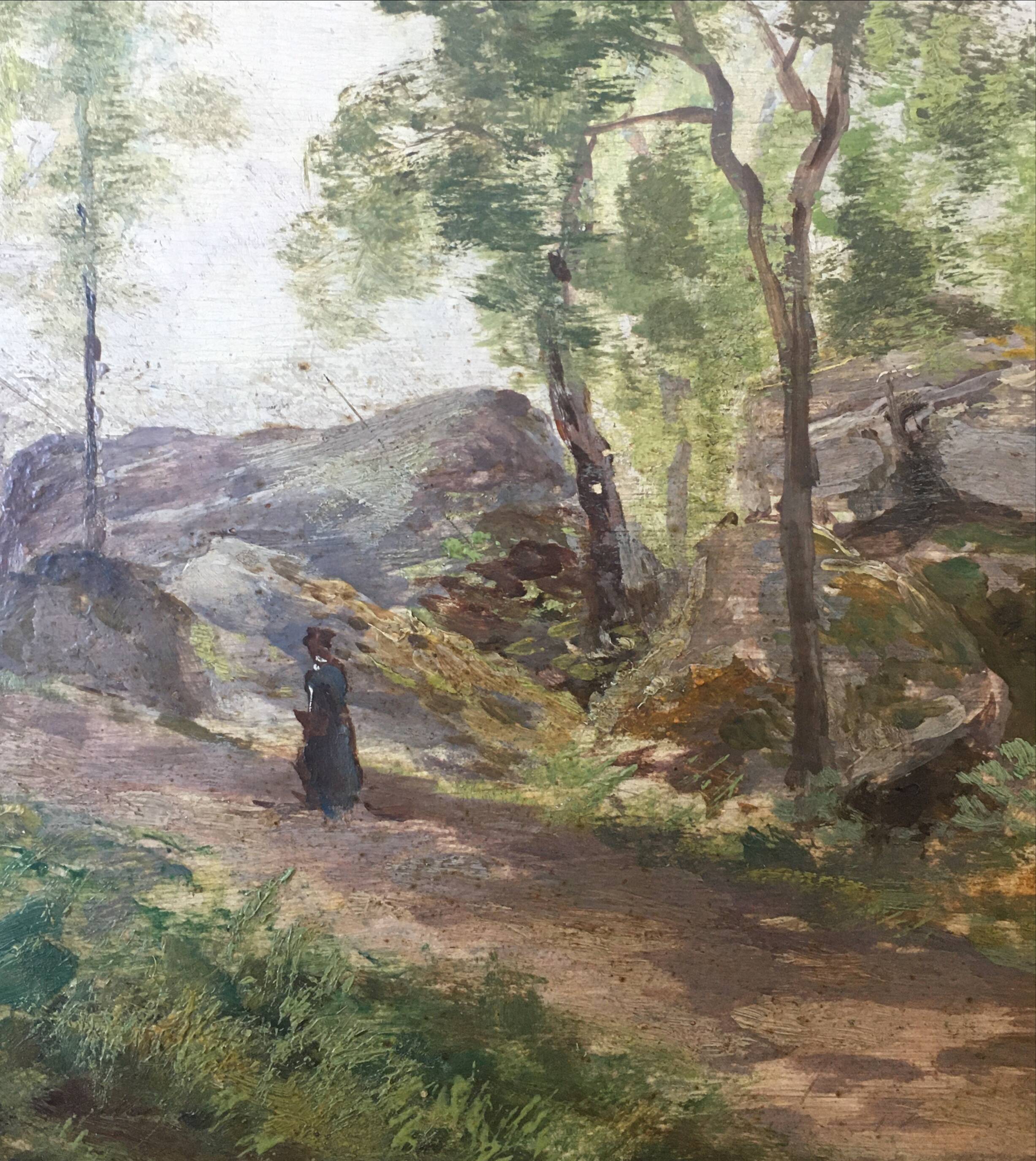 Table XIX "Forest of Fontainebleau" hosted by Emile Daumont (1834-?)